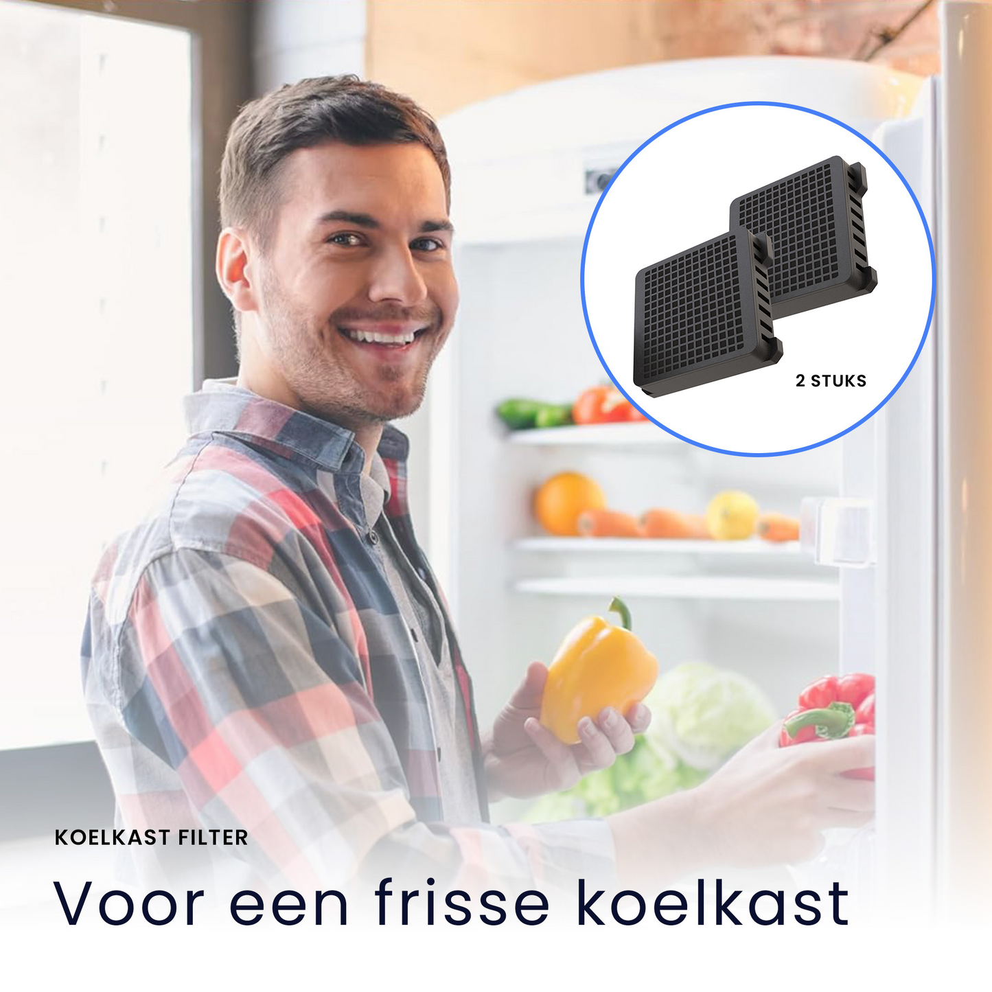 Filter geschikt voor Lieberr (2 STUKS) 9882429